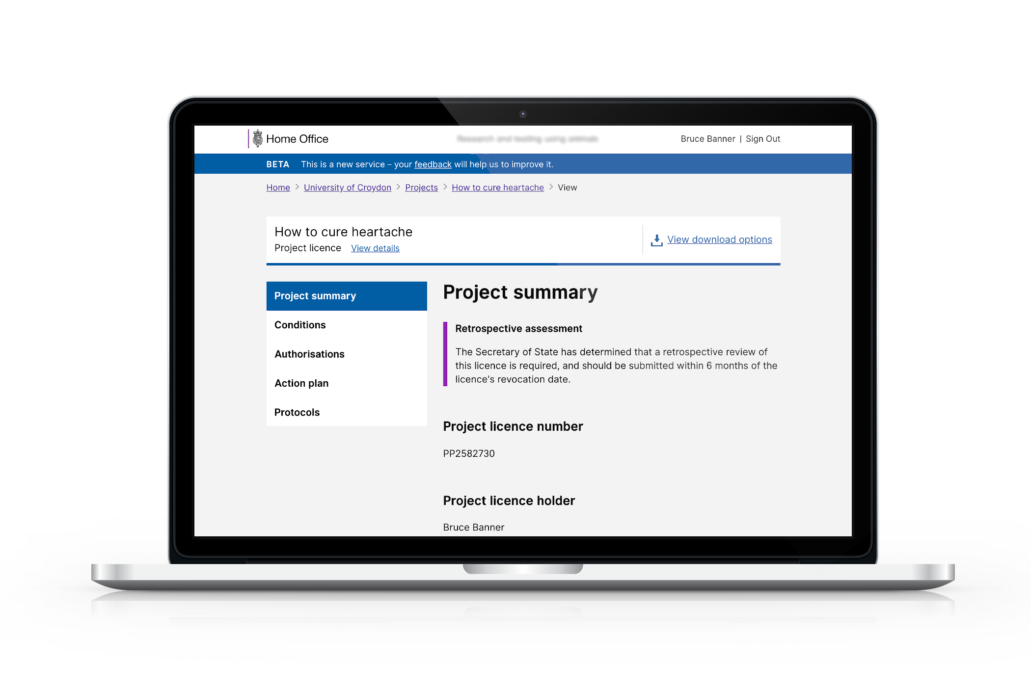 An image of a mocked up example of a licence in the new service